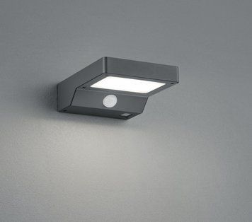 Настенный светильник Reality R22281142 Fomosa