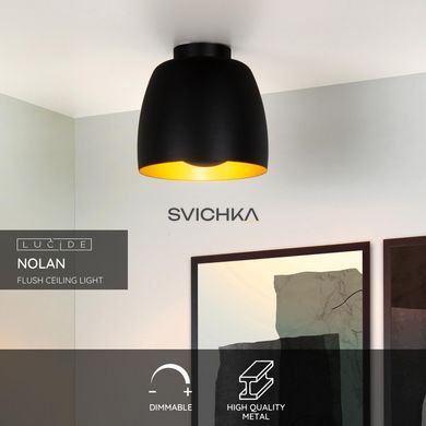 Потолочный светильник Lucide NOLAN &Oslash; 24 cm 1xE27 Black