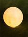 Декоративный светильник Nova Luce 9186715 MOON 50, White