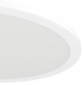 Настінно-стельовий світильник EGLO 33343 SARSINA-C, 2700-6500K, White