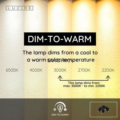 Стельовий точковий світильник для ванної Lucide TAYLOR LED Dim to warm GU10 4x5W 2200K/3000K IP44 Black, BLACK