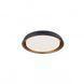Потолочный светильник REDO 01-1693 TALADO Black