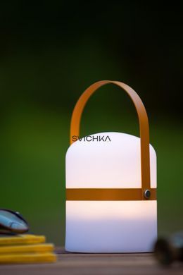 Акумуляторна настільна лампа для дому та вулиці Lucide LITTLE JOE Battery pack/batteries &Oslash; 10 cm LED Dim. 1x0,3W 2800K/3200K IP44 Brown, Brown