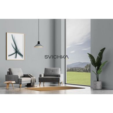 Підвісний світильник Eglo ABREOSA 1 Gray