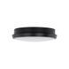 Настенно-потолочный светильник TK Lighting 18187 SFERIS, Black