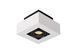 Стельовий точковий світильник Lucide XIRAX LED Dim to warm GU10 1x5W 2200K/3000K White, WHITE