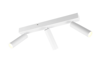 Спот Trio AMBALA 3, White
