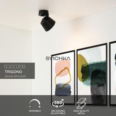 Стельовий точковий світильник Lucide TRIGONO &Oslash; 10,5 cm 1xGU10 Black, BLACK