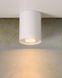Потолочный точечный светильник Lucide TUBE &Oslash; 9,6 cm 1xGU10 White, WHITE