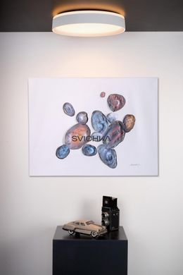 Потолочный светильник Lucide NURIA &Oslash; 40 cm LED Dim. 1x24W 2700K White