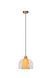 Підвісний світильник Lucide GUNHILD &Oslash; 24 cm 1xE27 Transparant, Transparant