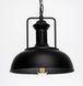 Підвісний світильник Pikart Blacky, Black