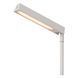 Напольная лампа для чтения Lucide LAVALE LED Dim. 1x3W 2700K White, WHITE, Белый, Белый