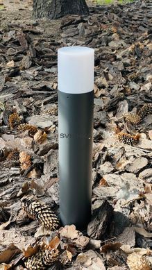 Вуличний світильник Polux 315977 Dallas E27 12W IP44