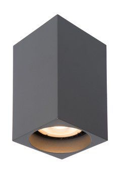 Потолочный точечный светильник Lucide DELTO LED Dim to warm GU10 1x5W 2200K/3000K Grey