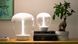 Настольная лампа Artemide Empatia 16 1813010A (+видео), Белый, Белый