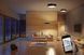 Светильник потолочный Trio Hotel 603900302, Никель, Черный