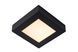 Потолочный светильник для ванной Lucide BRICE LED LED Dim. 1x15W 3000K IP44 Black, BLACK