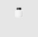 Настенно-потолочный светильник Labra Xilo mini S White
