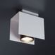 Потолочный светильник Imperium Light Bonn 1 White/Black