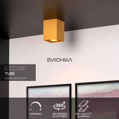 Потолочный точечный светильник Lucide TUBE 1xGU10 Matt Gold / Brass
