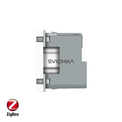 Умный механизм розетка ZigBee с заземлением Livolo