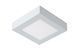 Потолочный светильник для ванной Lucide BRICE LED LED Dim. 1x15W 3000K IP44 White, WHITE